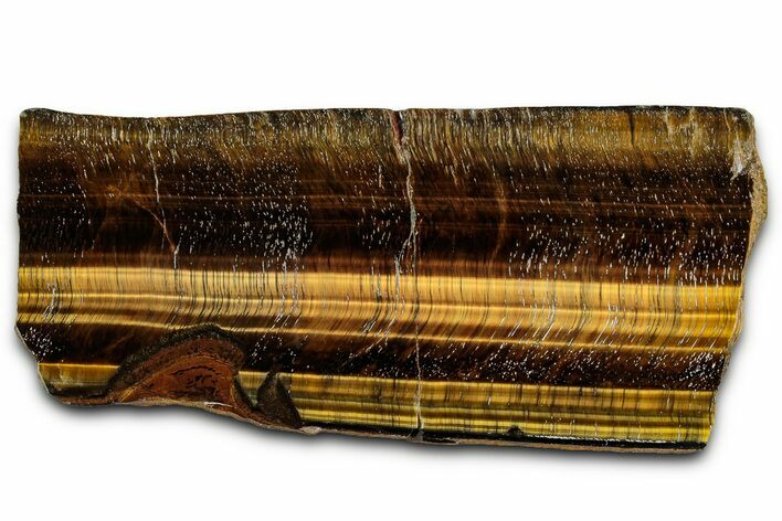 Polished Tiger's Eye Slab - South Africa #355294